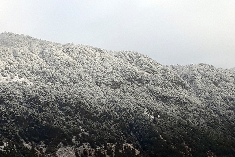 आज राति गण्डकीका केहि स्थानमा हल्का वर्षा र हिमपातको सम्भावना