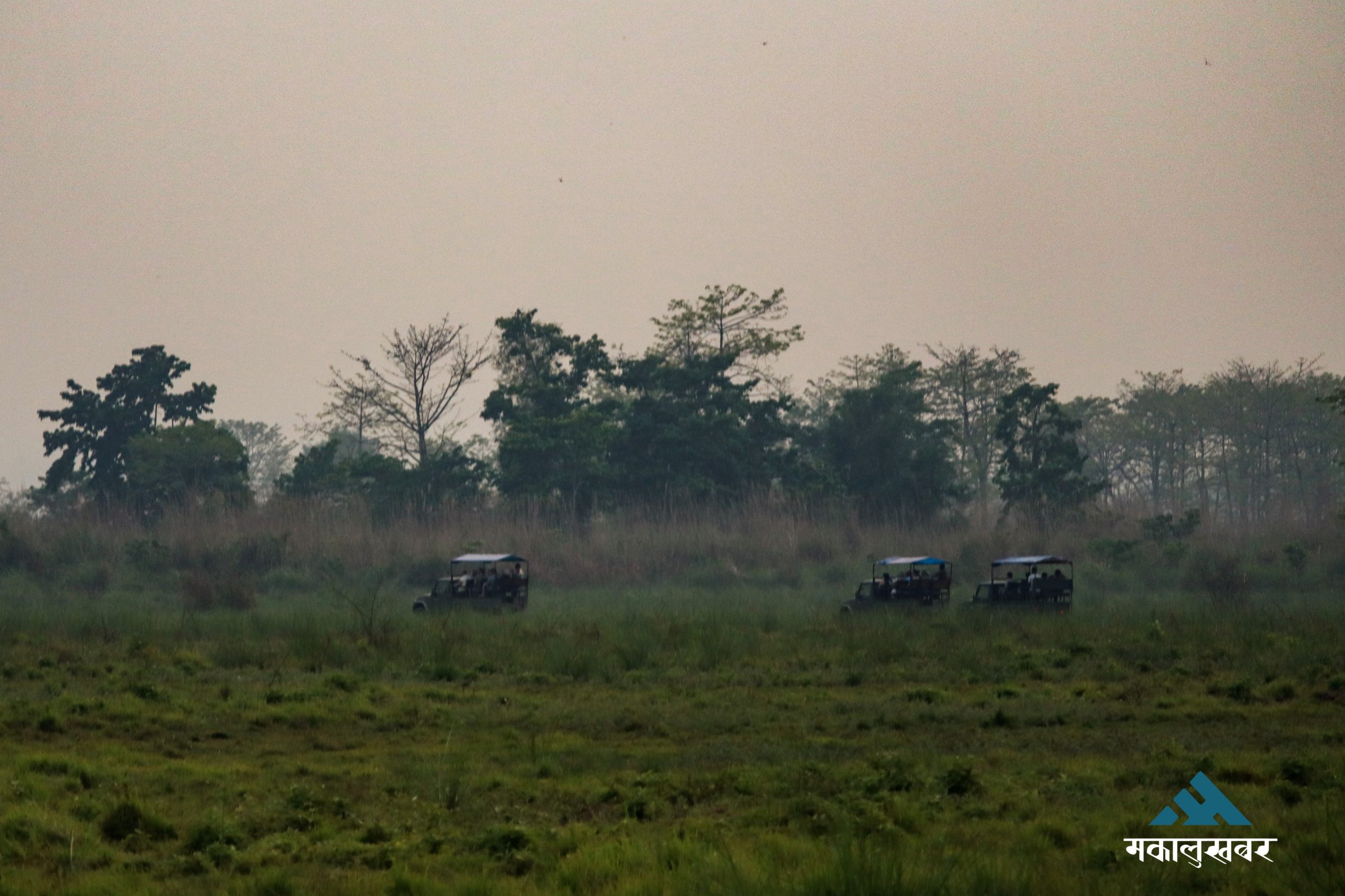 सौराहामा पर्यटकको आगमन उत्साहजनक : व्यवसायी