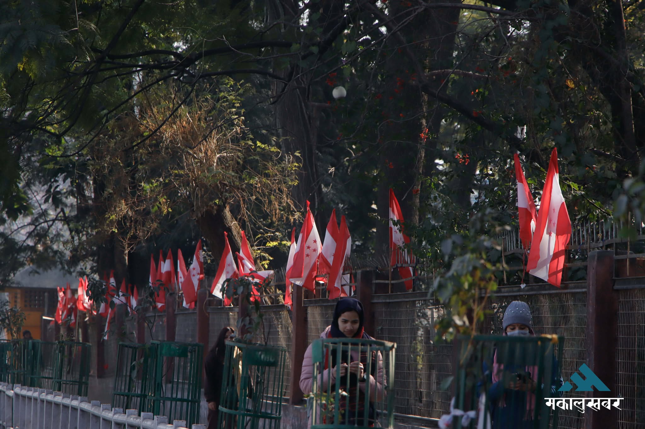 भृकुटीमण्डपमा ‘कांग्रेसी’ रौनक (तस्बिरहरू)