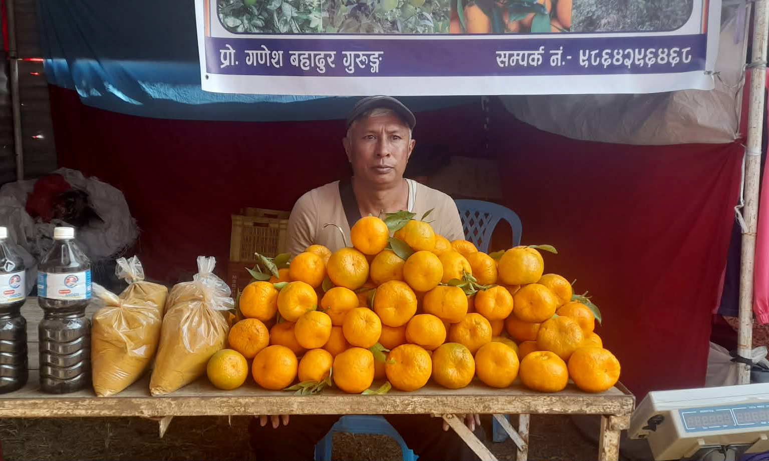 जङ्गल फाँडेर सुन्तलाखेती विस्तार