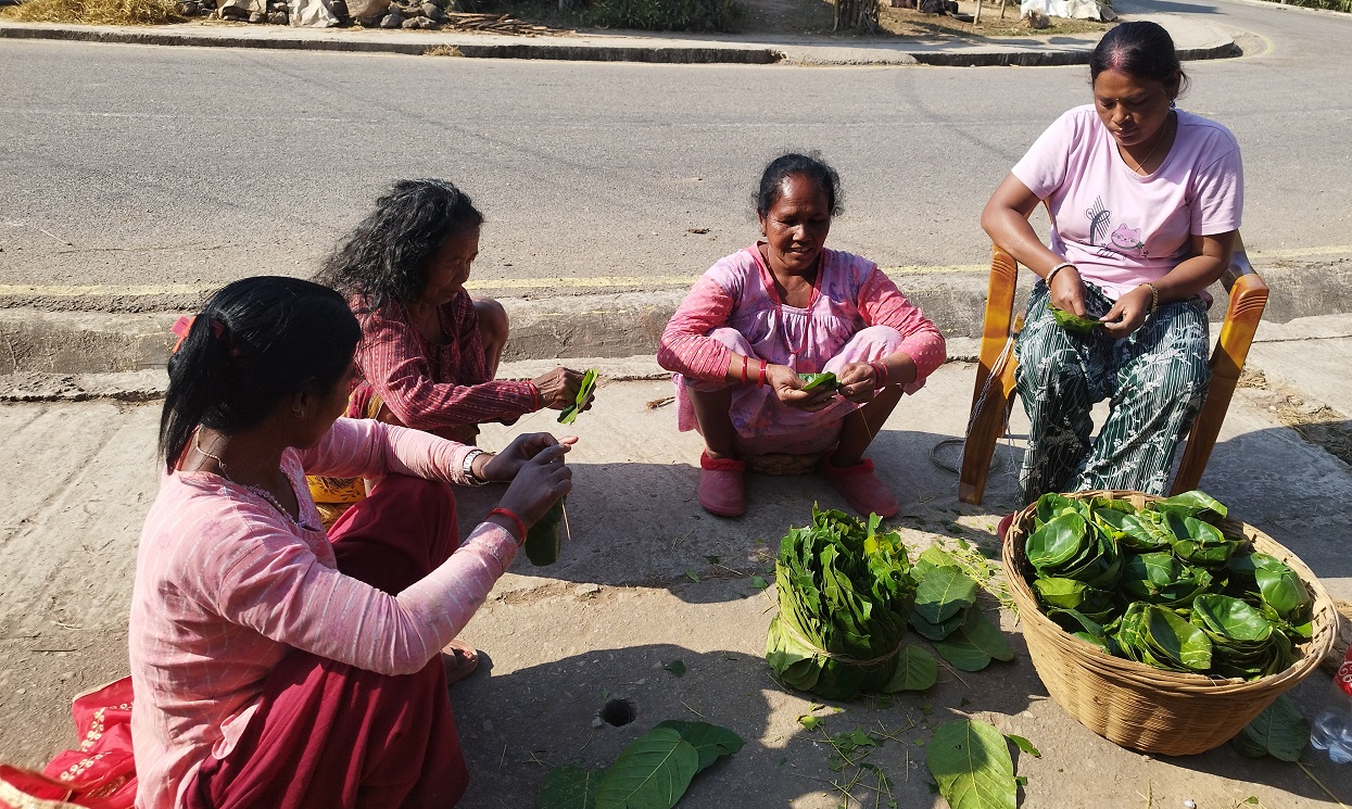 थारु बस्तीमा माघी पर्वको तयारी सुरु
