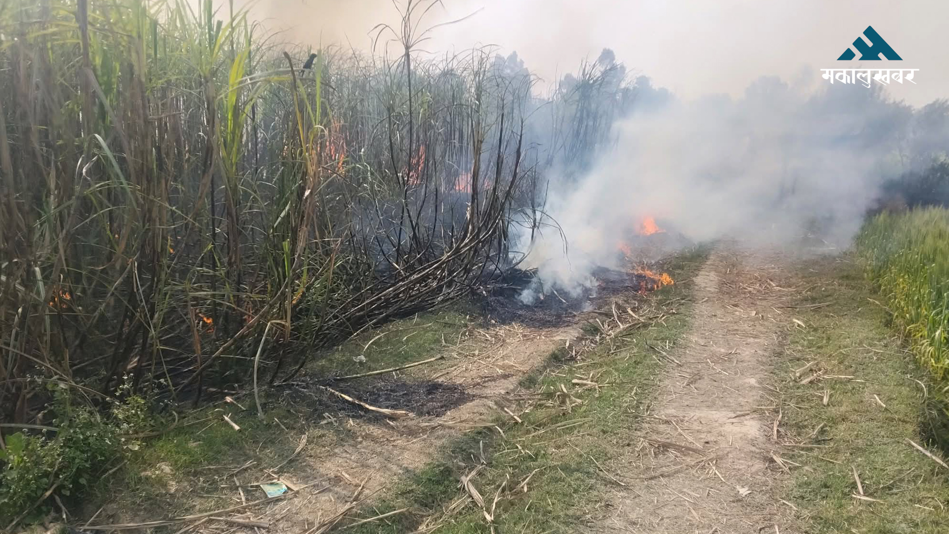 उखुबारीमा आगलागी हुँदा एक करोड बढीको क्षति
