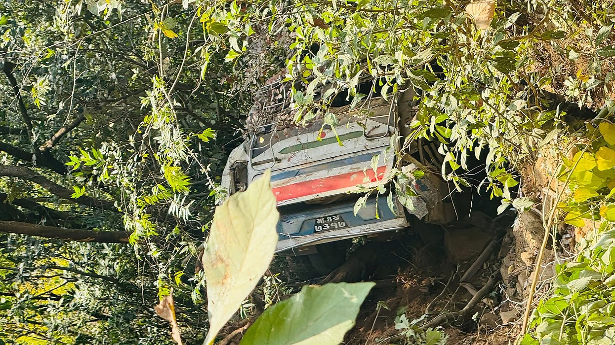 सेना सवार बस दुर्घटना हुँदा २४ घाइते
