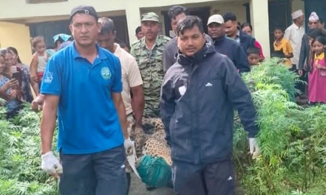 समस्याग्रस्त वन्यजन्तु नियन्त्रणमा लिन प्राविधिक टोली परिचालन