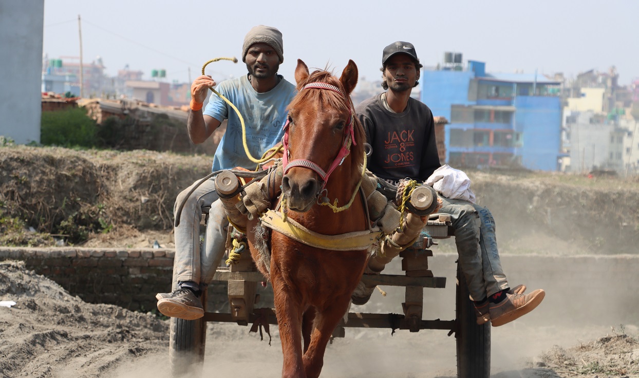 खच्चडको स्याहार छ, भुइँमान्छेको खोइ ? (तस्बिरहरू)