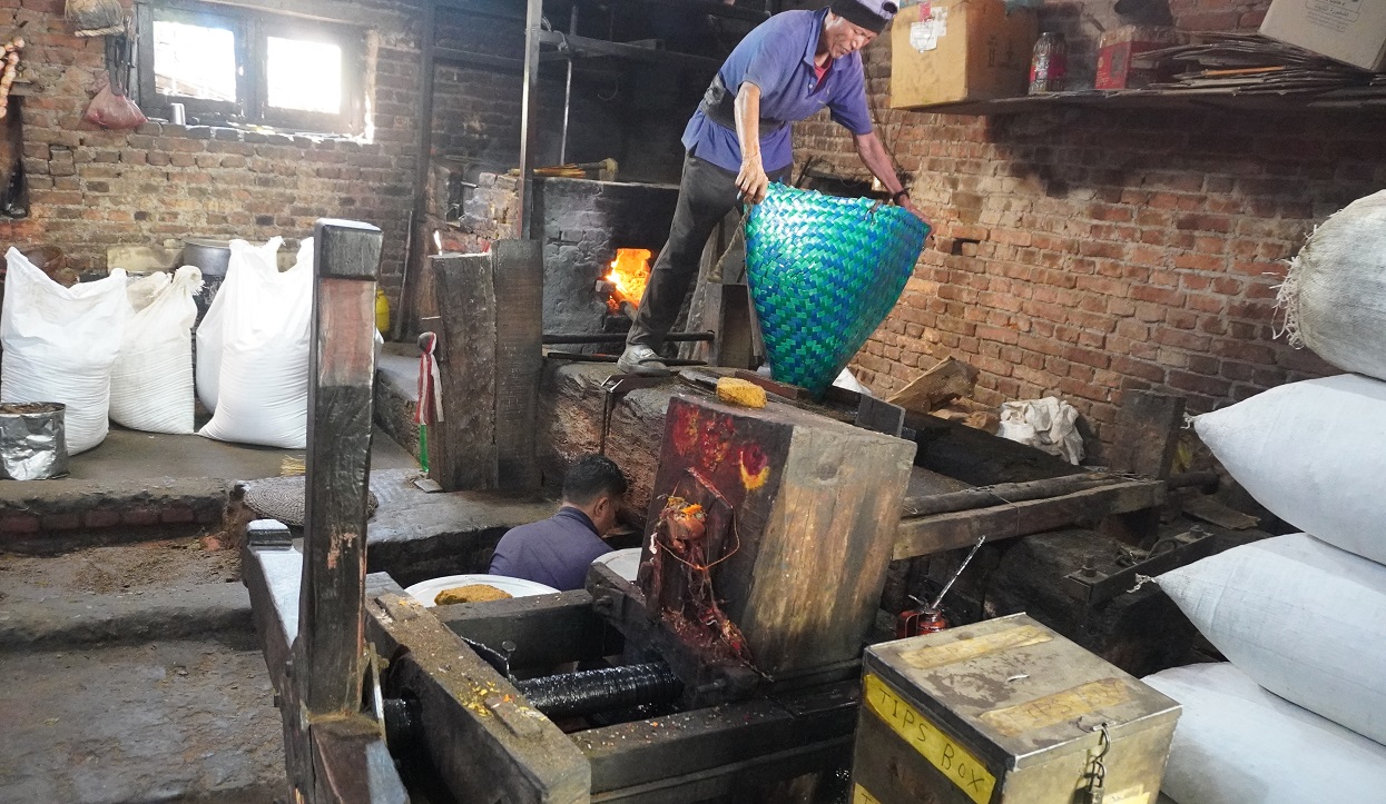 खोकनामा अझै पेलिन्छ तेलः तीन सय वर्षे काठको कोलले धानेको परम्परा
