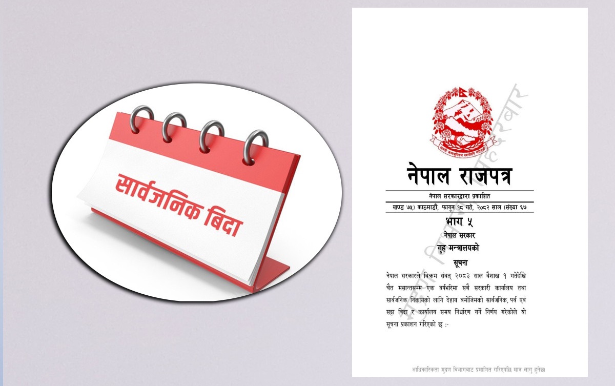 अत्यधिक सार्वजनिक बिदाले निजी क्षेत्र आजित