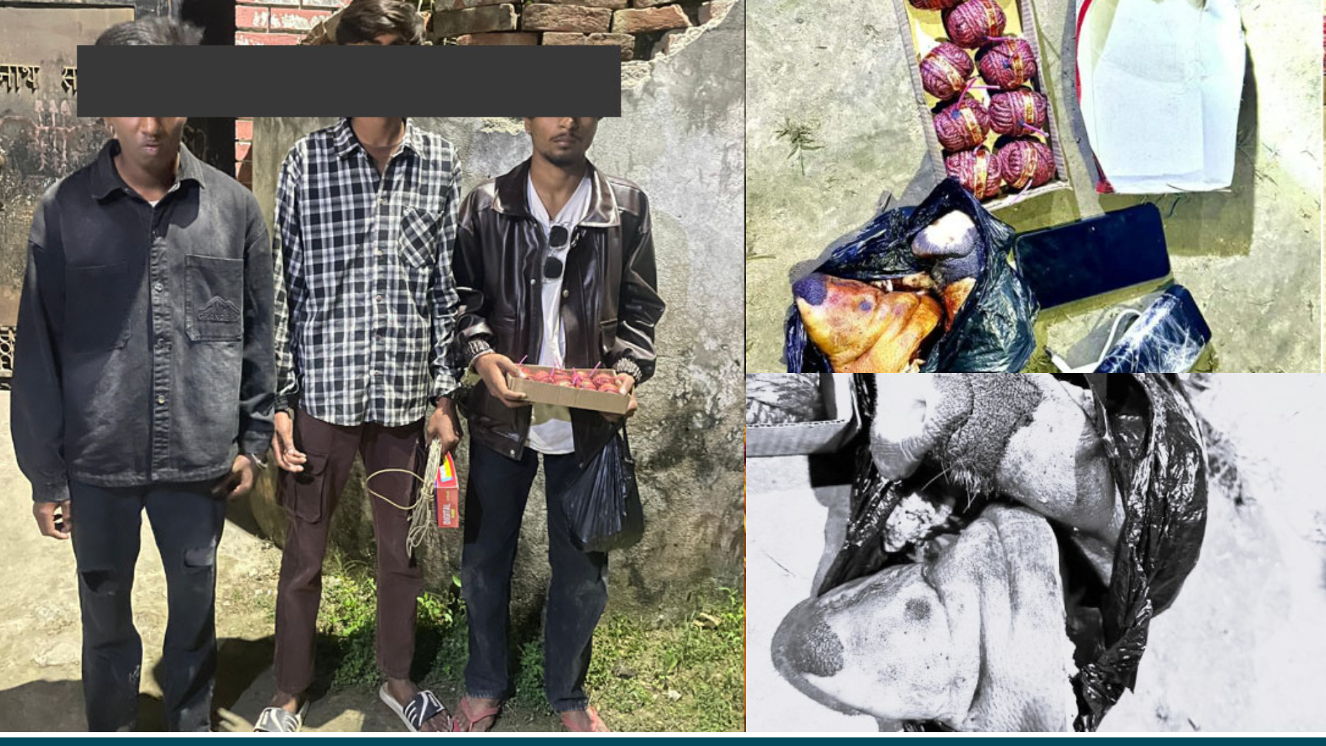 वीरगन्जमा साम्प्रदायिकता भड्काउने षड्यन्त्र विफल, विस्फोटक पदार्थ र सुँगुरको टाउकोसहित ३ पक्राउ