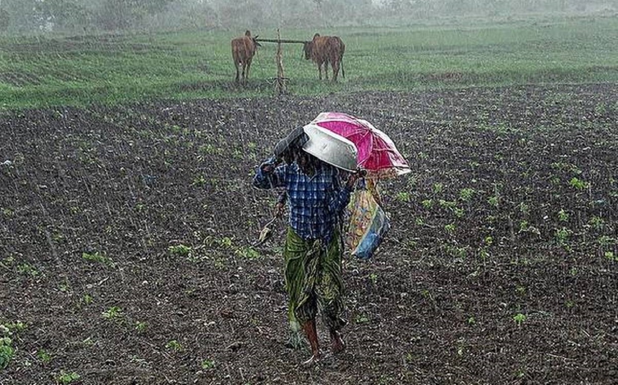 किसानलाई पचास प्रतिशत अनुदानमा फलफूलका विरुवा