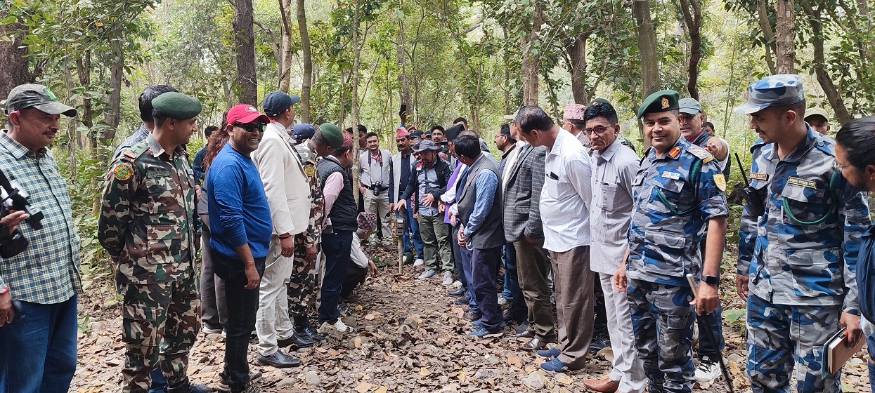 शुक्लाफाँटामा बाघ गणना सुरु
