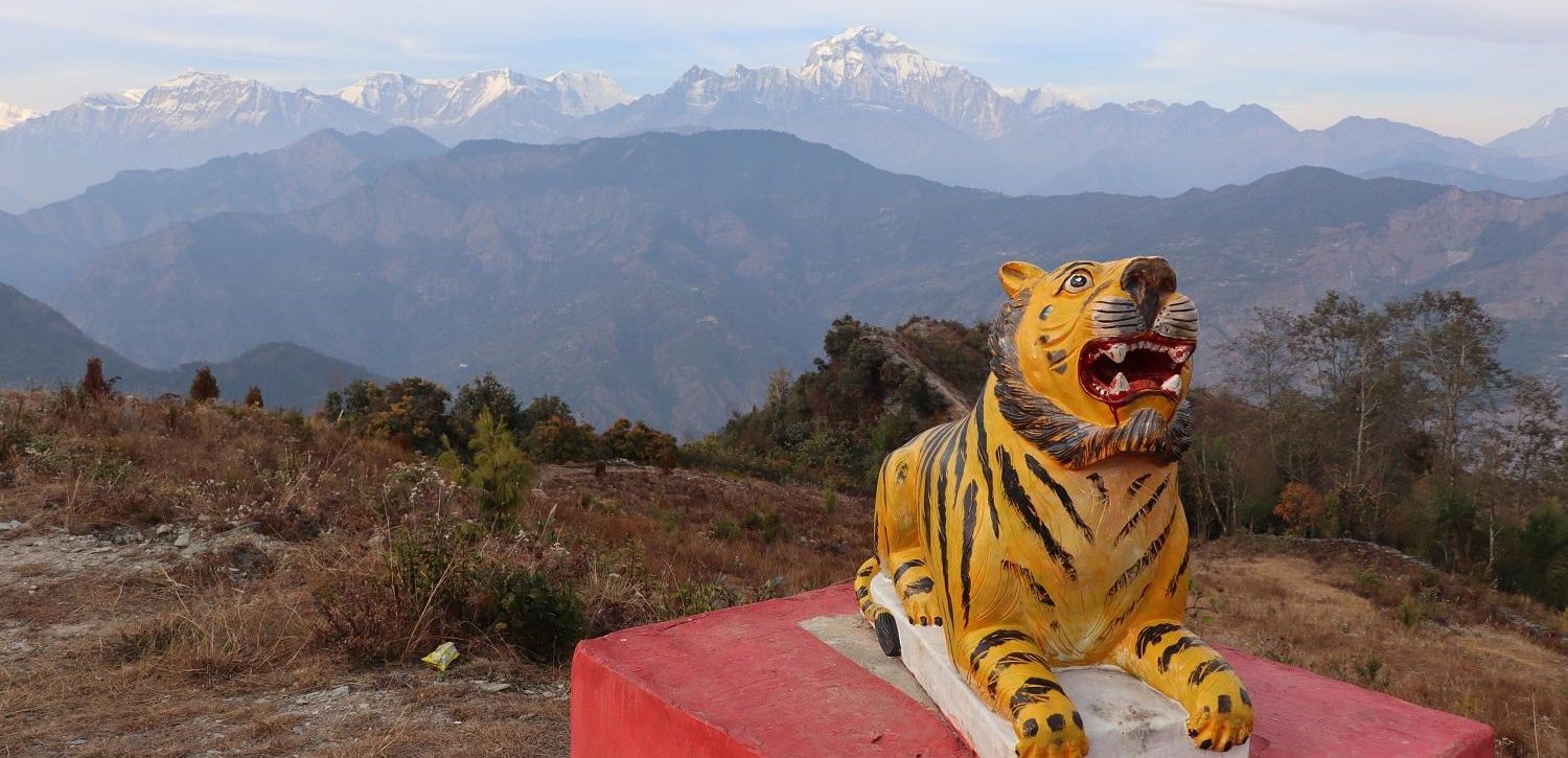 बाघखोरमा बाघको प्रतिमासहितको ‘पार्क’ निर्माण