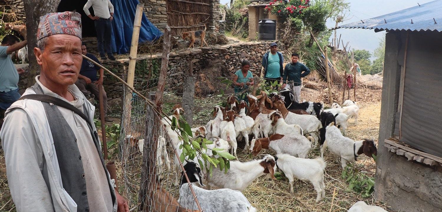 बाख्रापालनबाट स्वरोजगार बनेका कुलबहादुर पुन