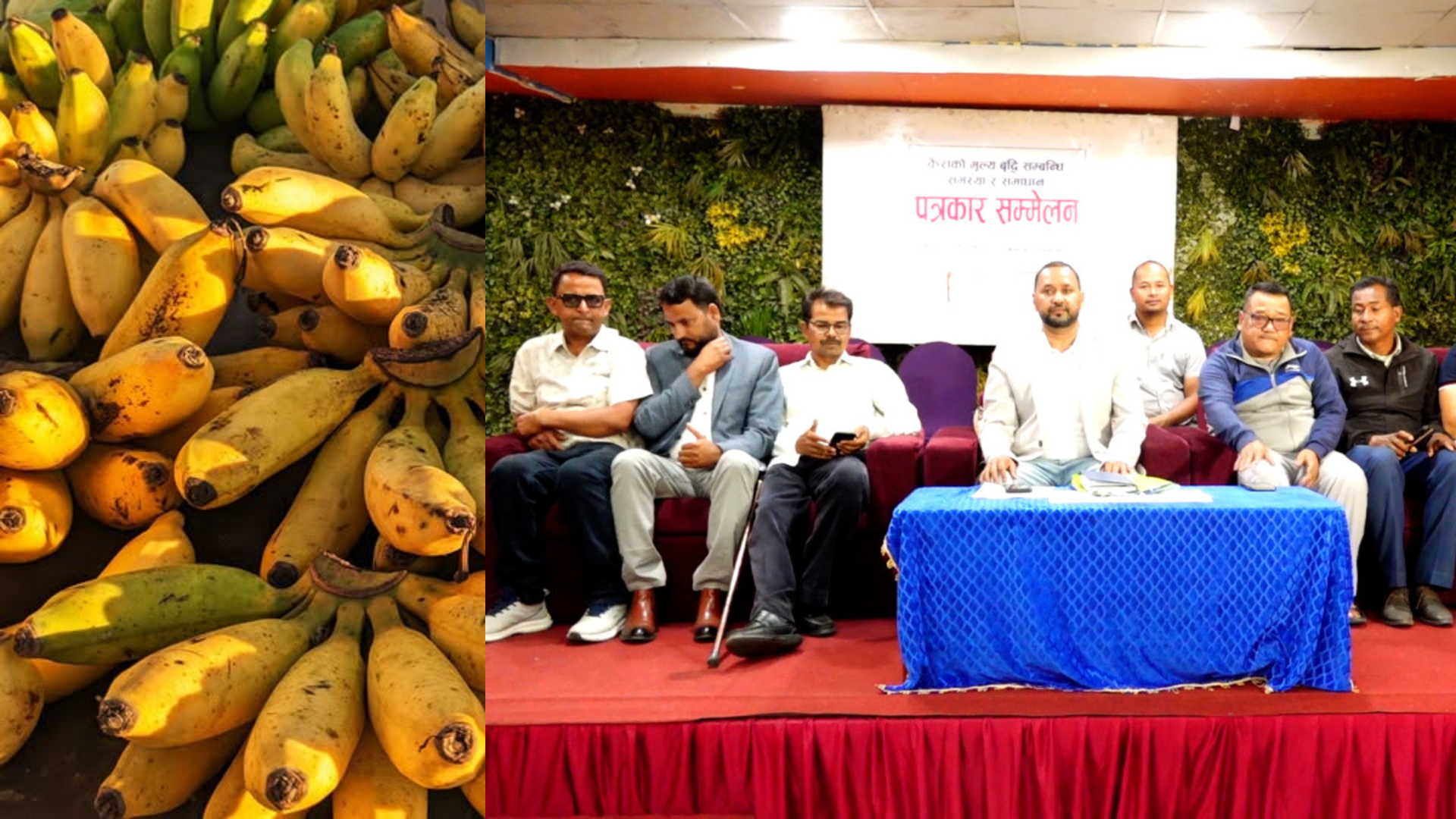 किसान भन्छन्- केराको मूल्य बढाएका छैनौँ