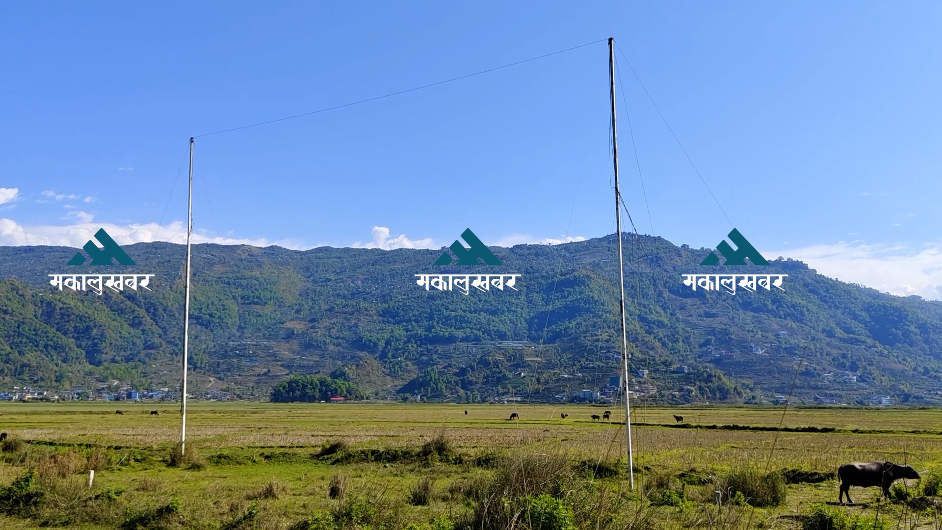 फेवातालको चार किल्लाभित्रको जग्गाको अवस्था अध्ययन गर्न बन्यो समिति