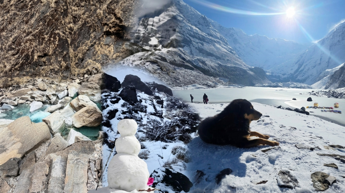 अन्नपूर्ण आधार शिविरः प्रकृति र आत्मचिनारीको संगम (तस्बिरहरू)