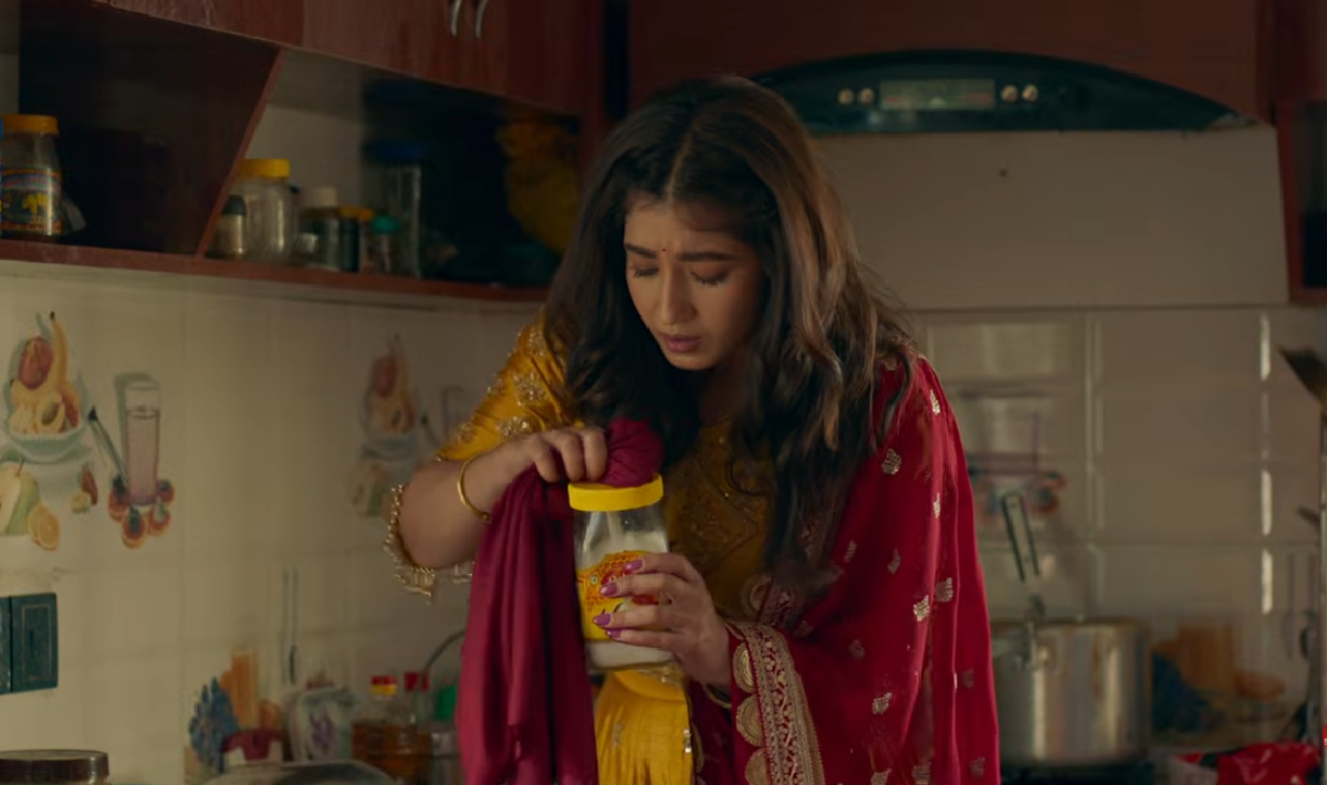 विवाहअघि युवतीको भावनात्मक यात्रा बोल्ने गीत ‘पल्लो घर’ सार्वजनिक (भिडिओ)
