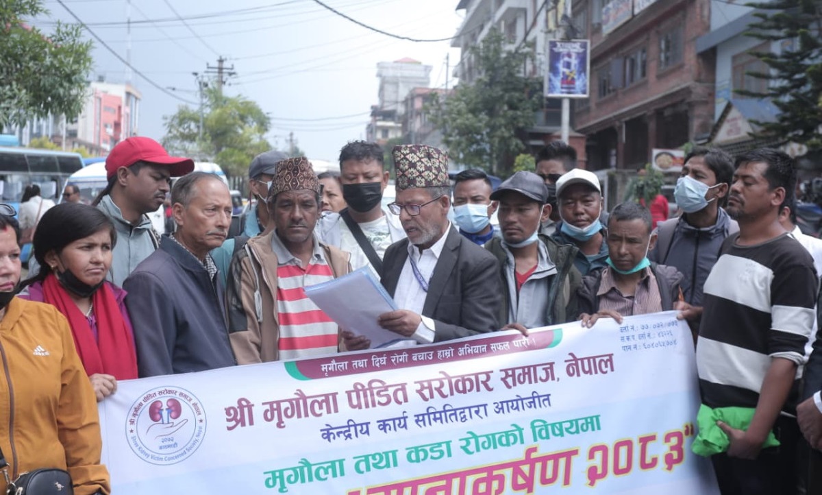 स्वास्थ्य बीमामा १० प्रतिशत को-पेमेन्ट खारेजीको माग गर्दै मिर्गौला पीडित आन्दोलित (तस्बिरहरू)