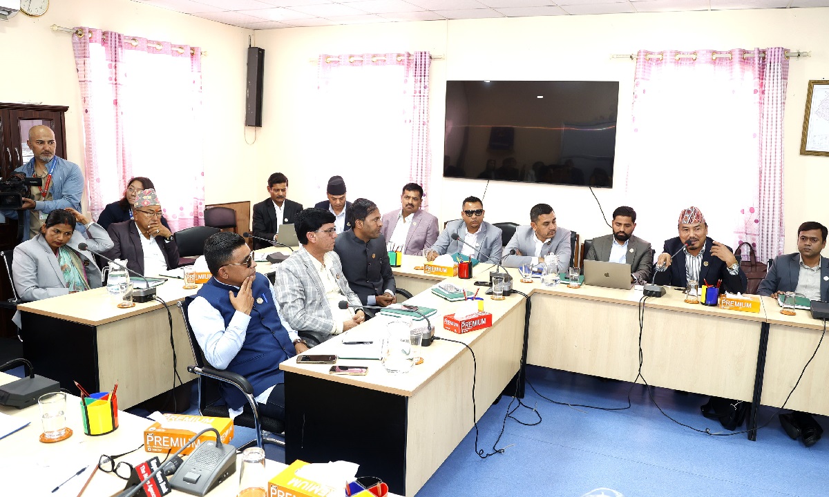 निर्माण व्यवसायीका समस्या समाधान गर्न समितिको निर्देशन