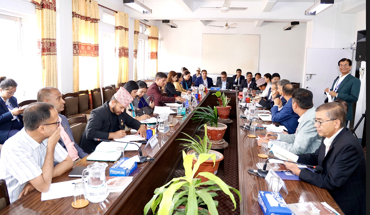 कर प्रशासन पुनः संरचना र भ्याट प्रणाली सुधार गर्न अर्थविद्को सुझाव