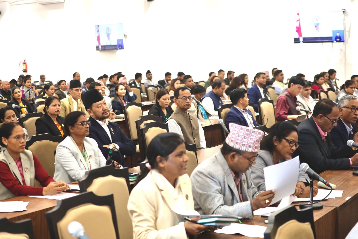 किसानलाई मलको अभाव हुन नदिन सांसदद्वारा सरकारको ध्यानाकर्षण