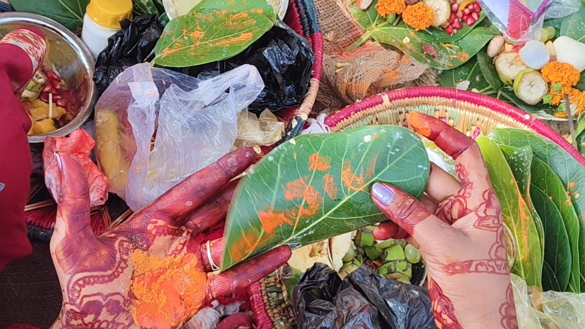 मिथिलाञ्चलमा श्रद्धापूर्वक मनाइँदै वटसावित्री पर्व