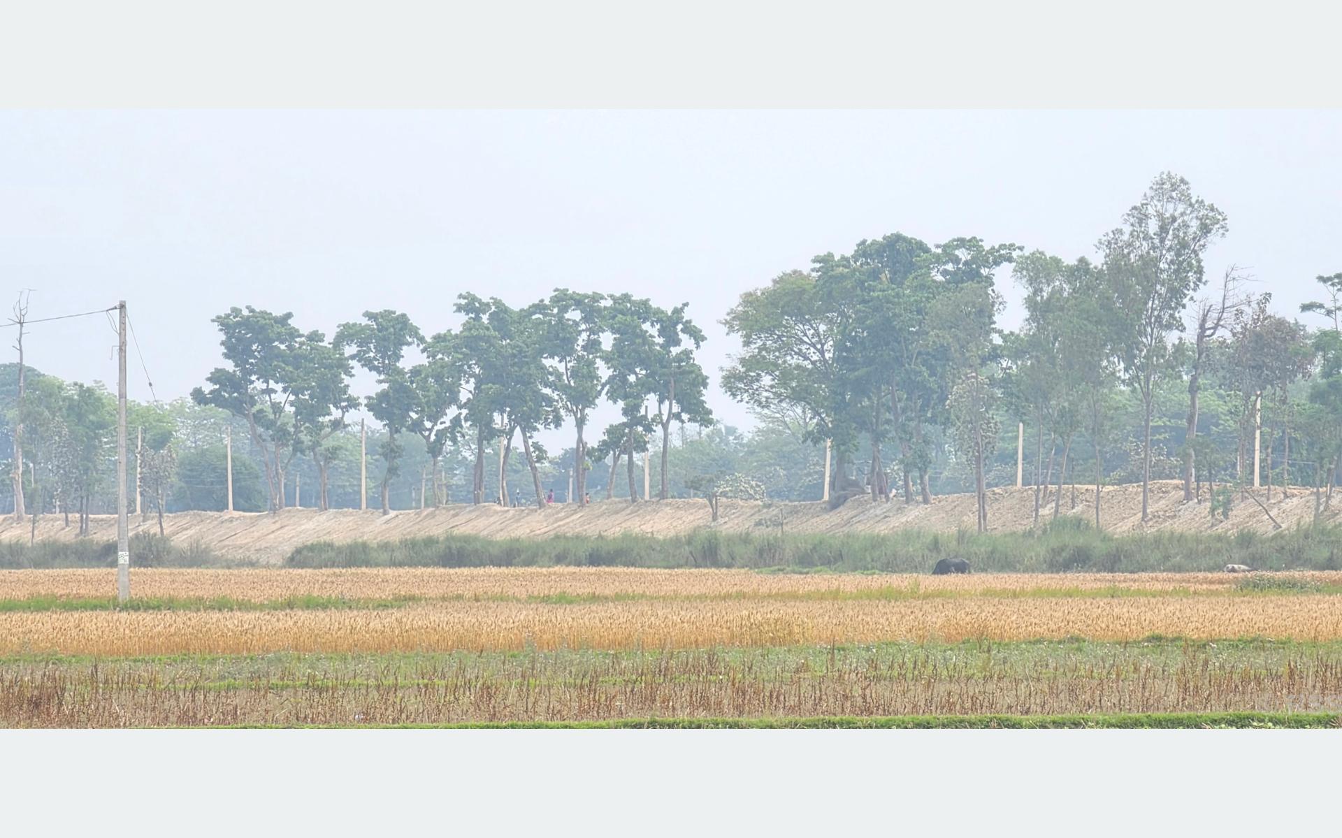 सीमा क्षेत्रको बाँध अग्लो बनाउँदा गौर डुबानको जोखिममा