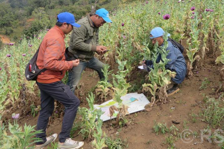 आज लागुऔषध दुरुपयोग तथा अवैध ओसारपसारविरुद्धको अन्तरराष्ट्रिय दिवस