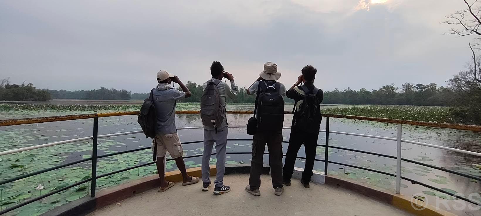 घोडाघोडी सिमसार क्षेत्रमा हरिहाँसको गणना सुरु