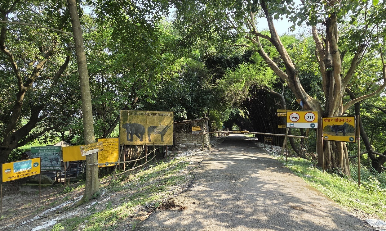कोशी टप्पुमा पर्यटनको बढ्दो सम्भावना