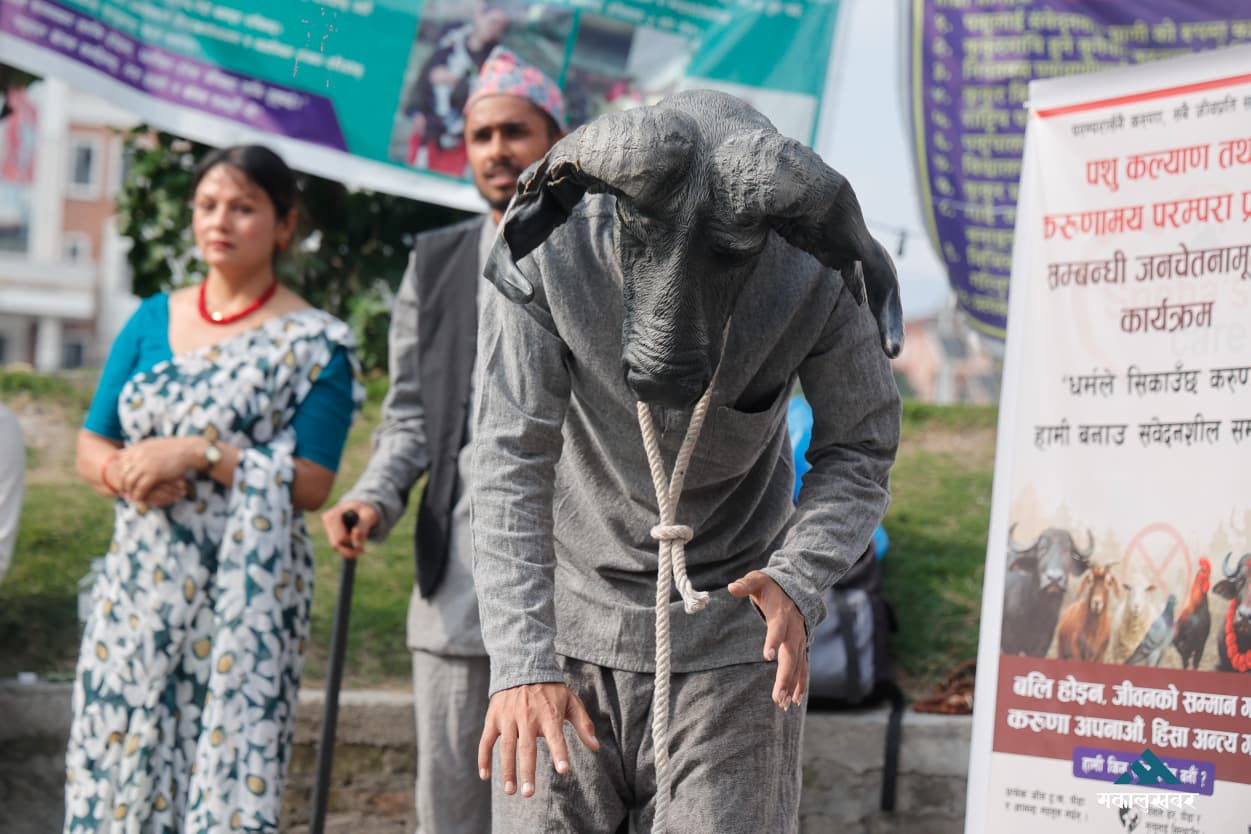 करुणाको सन्देश बोकेर माइतीघरमा सडक नाटक (तस्बिरहरू)