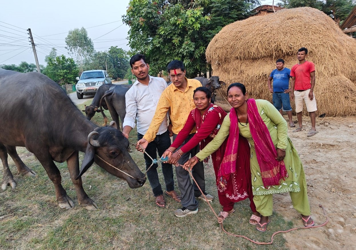 जीविकोपार्जनमा ‘भैँसीपालन कार्यक्रम’ सञ्चालन