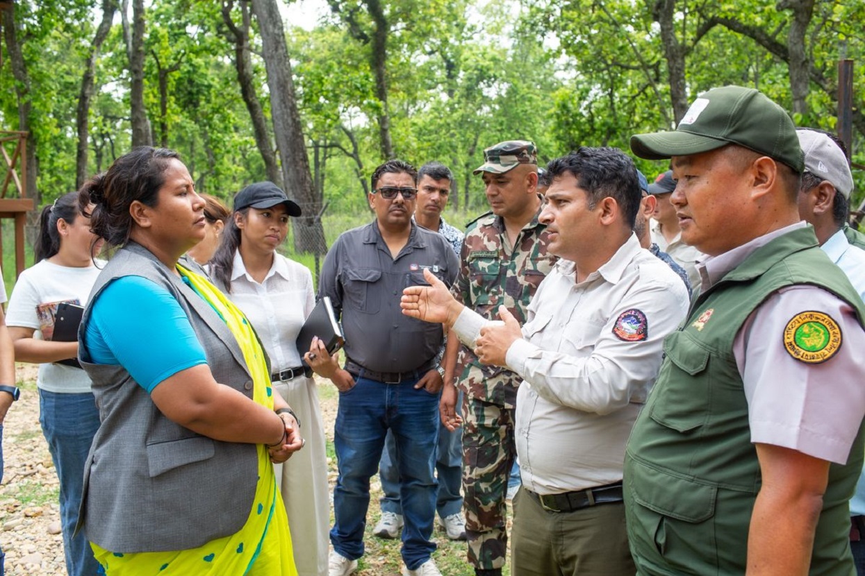 देवनगरमा ‘टाइगर सेन्चुरी’ बनाएर बाघ व्यवस्थापनको तयारी गर्दै सरकार