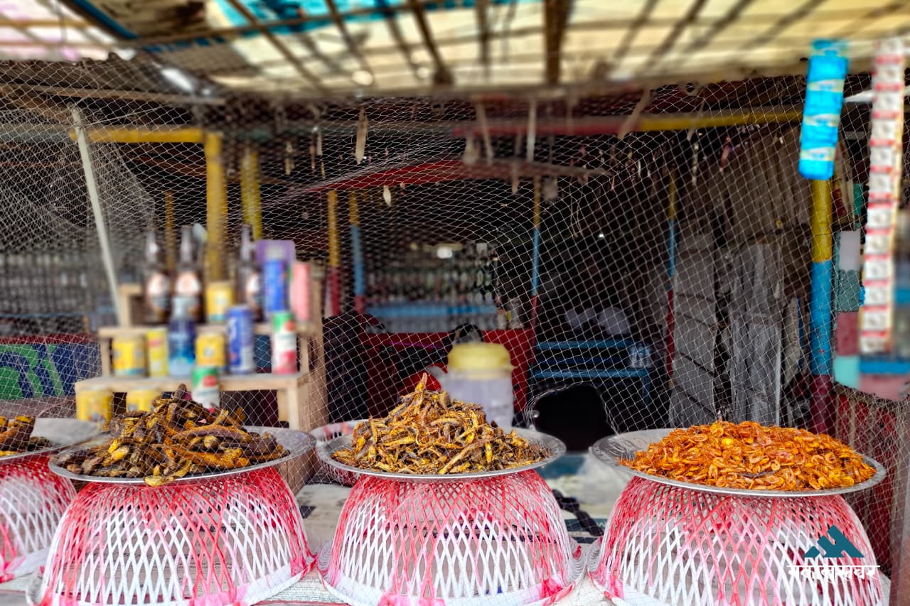 जहाँ कोशीको दृश्य र माछाको स्वादले मन लोभ्याउँछ (तस्बिरहरू)