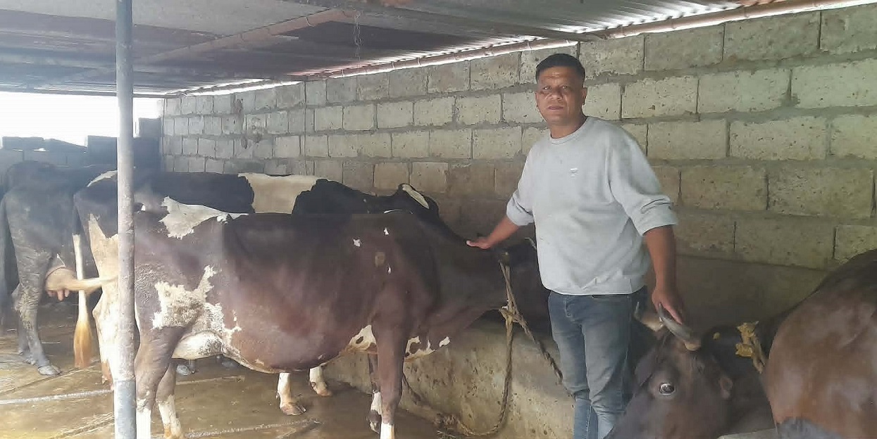 खाडीबाट फर्केर गाईपालनबाट मासिक दुई लाख आम्दानी