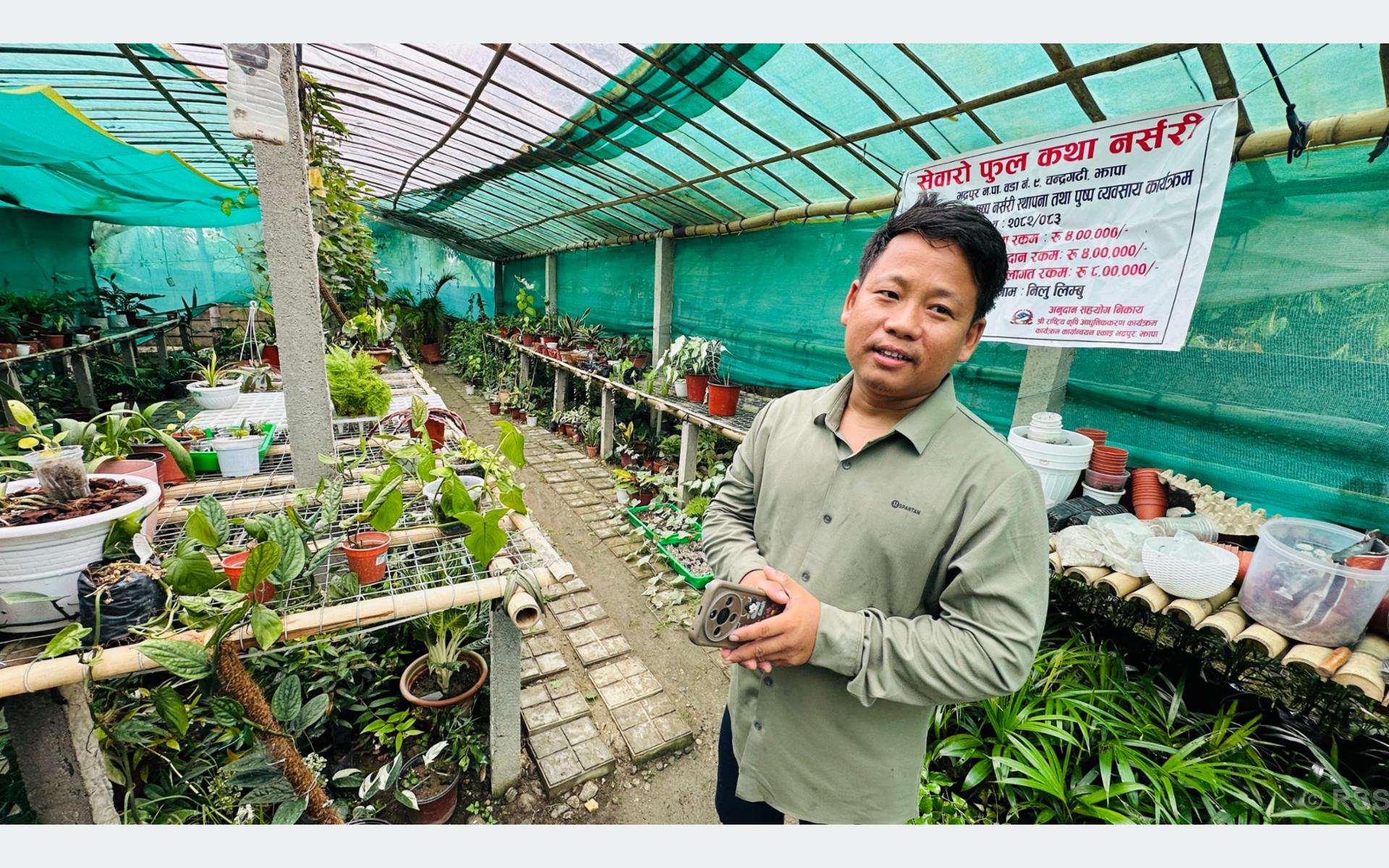 कोरियाबाट फर्केर नर्सरी व्यवसायमा जमेका फिलिप टिकटकबाटै बेच्छन् बिरुवा