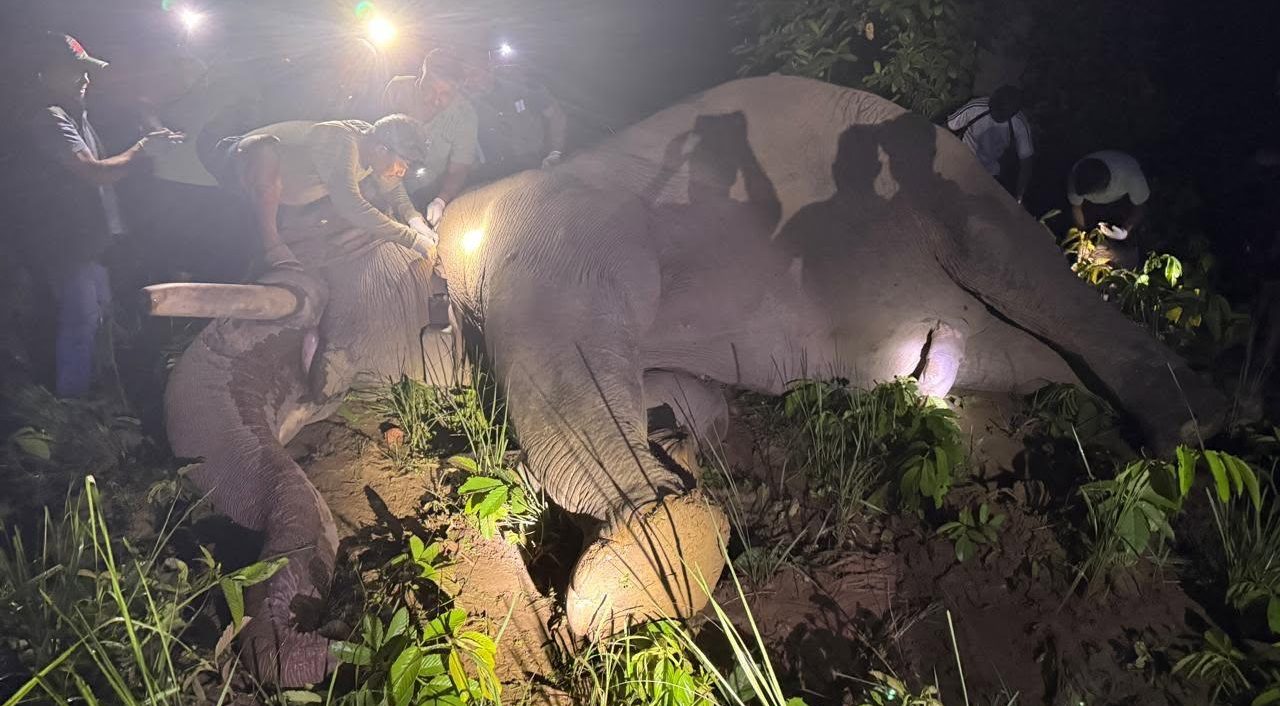 ‘ध्रुवे’लाई ‘रेडियो कलर’ जडान गरेर छाडियो