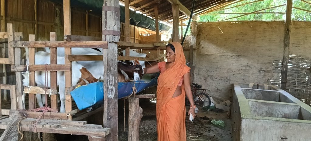 बाख्रापालनले बदल्दै ग्रामीण महिलाको जीवन