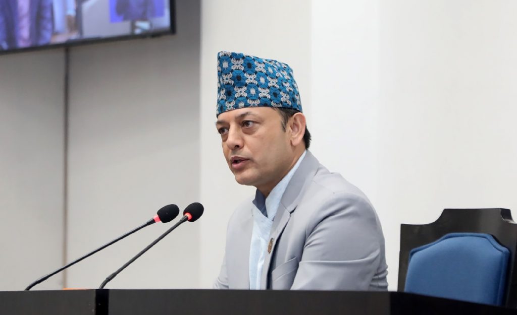 प्रतिनिधिसभामा राष्ट्रिय सेवा दल विधेयक पेस