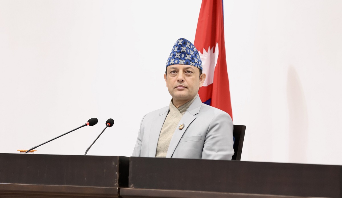 राष्ट्रिय सेवा दल विधेयकमाथि विचार गरियोस् भन्ने प्रस्ताव स्वीकृत