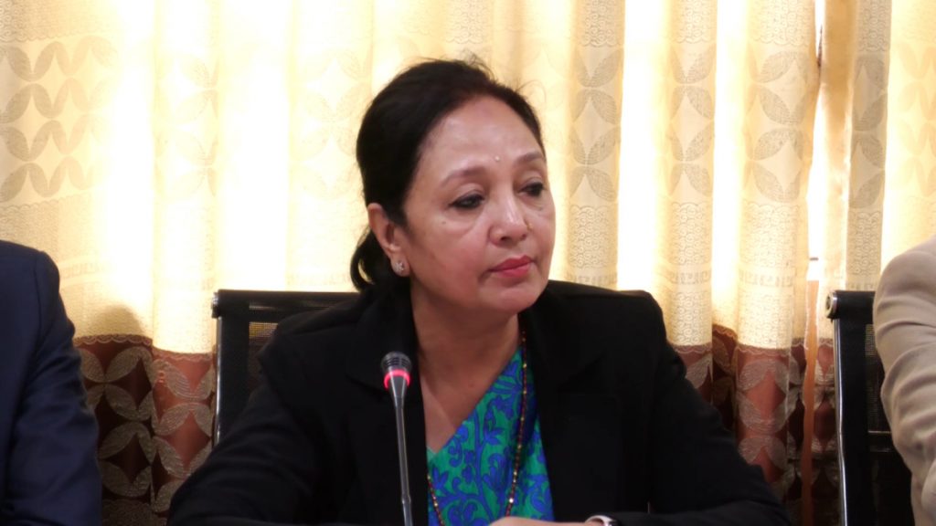आयोगका सिफारिस कार्यान्वयन नगर्नु राज्यतर्फबाट मानव अधिकार हनन: लिली थापा
