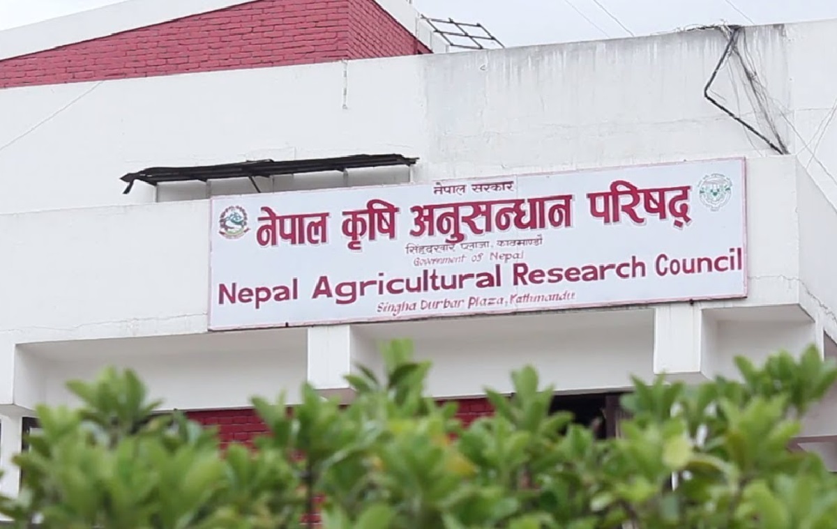 नार्कका सम्पर्कविहीन दुई कर्मचारी बर्खास्त