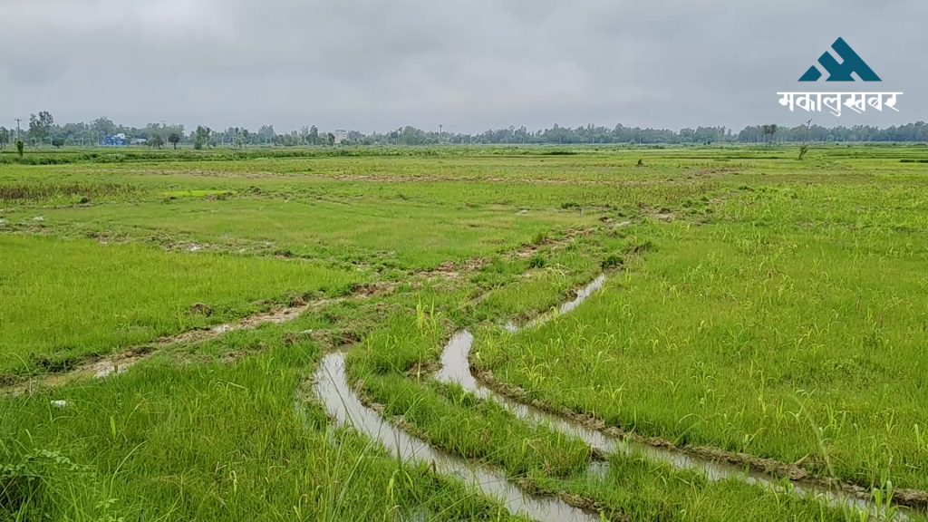 जनकपुरधाममा गुठी जग्गा अतिक्रमण खोजी तीव्र, २५ बिघासम्म जग्गा मिचिएको अनुमान