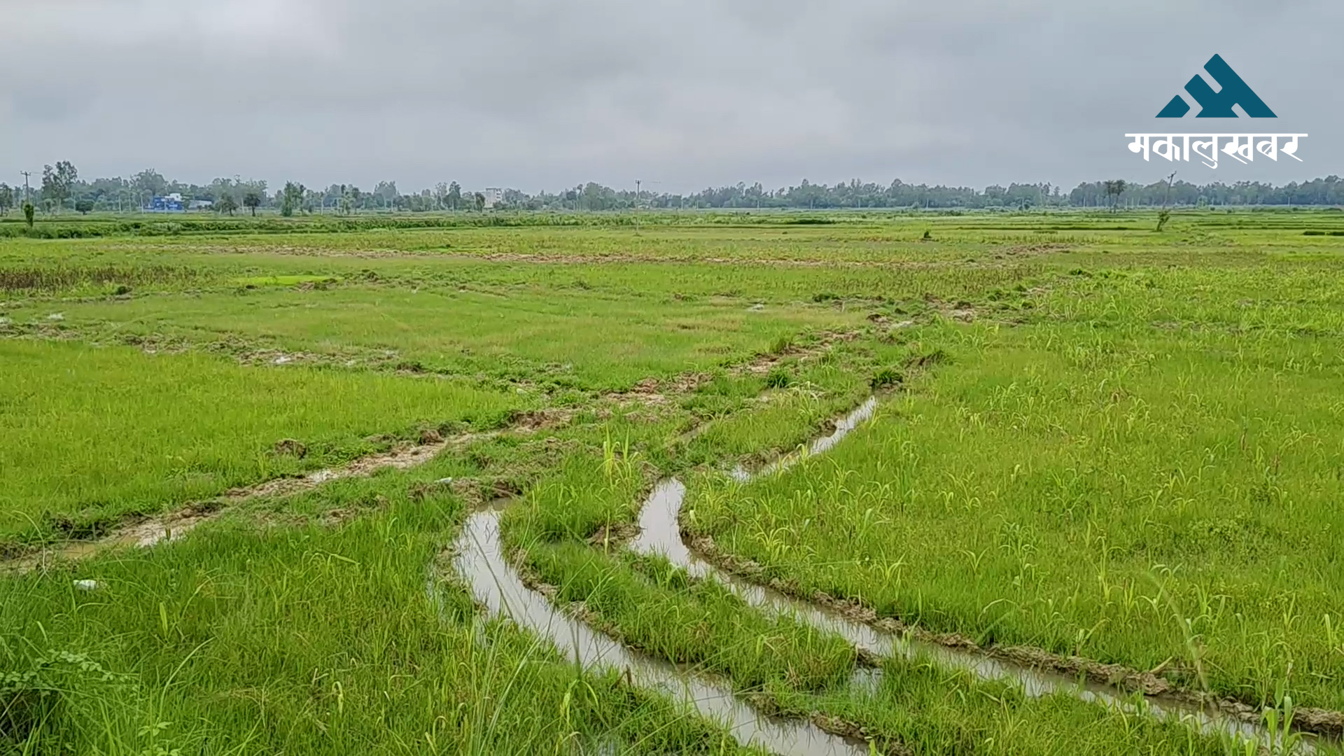 जनकपुरधाममा गुठी जग्गा अतिक्रमण खोजी तीव्र, २५ बिघासम्म जग्गा मिचिएको अनुमान