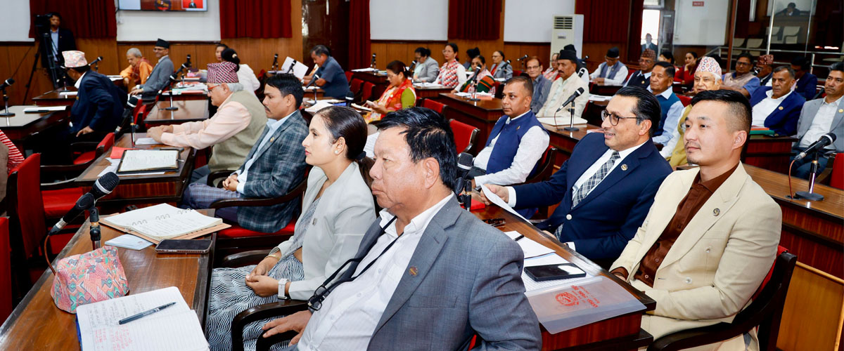 चार विधेयकमाथि राष्ट्रियसभा समितिमा दफाबार छलफल