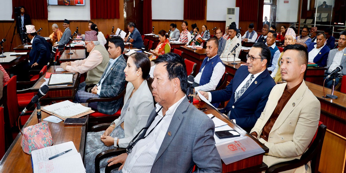 चार विधेयकमाथि राष्ट्रियसभा समितिमा दफाबार छलफल